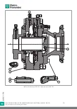 Preview for 118 page of PIETRO FIORENTINI ASX 176 Translation Of Original Instructions