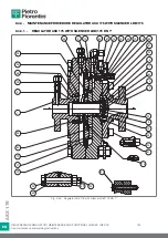 Preview for 144 page of PIETRO FIORENTINI ASX 176 Translation Of Original Instructions