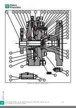 Preview for 162 page of PIETRO FIORENTINI ASX 176 Translation Of Original Instructions