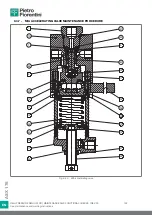 Preview for 192 page of PIETRO FIORENTINI ASX 176 Translation Of Original Instructions