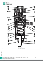 Preview for 194 page of PIETRO FIORENTINI ASX 176 Translation Of Original Instructions