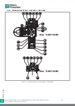 Preview for 204 page of PIETRO FIORENTINI ASX 176 Translation Of Original Instructions