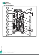 Preview for 210 page of PIETRO FIORENTINI ASX 176 Translation Of Original Instructions