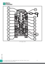 Preview for 212 page of PIETRO FIORENTINI ASX 176 Translation Of Original Instructions