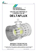 Предварительный просмотр 1 страницы PIETRO FIORENTINI DELTAFLUX MT100 Technical Manual