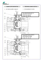 Preview for 13 page of PIETRO FIORENTINI DELTAFLUX MT100 Technical Manual