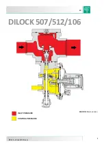 Preview for 2 page of PIETRO FIORENTINI DILOCK 106 Technical Manual