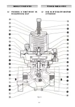 Preview for 31 page of PIETRO FIORENTINI DIVAL 160 AP Installation, Commissioning And Maintenance Instructions