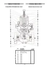 Preview for 39 page of PIETRO FIORENTINI DIVAL 160 AP Installation, Commissioning And Maintenance Instructions