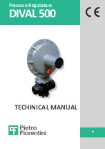 PIETRO FIORENTINI DIVAL 500 Technical Manual preview