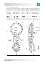 Preview for 8 page of PIETRO FIORENTINI DIVAL 500 Technical Manual