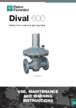 PIETRO FIORENTINI Dival 600 User Manual preview