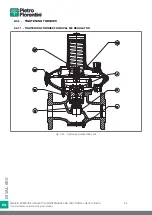 Preview for 98 page of PIETRO FIORENTINI Dival 600 User Manual