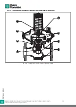 Preview for 100 page of PIETRO FIORENTINI Dival 600 User Manual