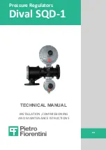 PIETRO FIORENTINI Dival SQD-1 Technical Manual preview