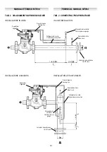 Preview for 11 page of PIETRO FIORENTINI DIXI AP Technical Manual