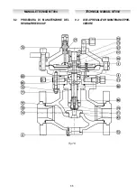 Preview for 36 page of PIETRO FIORENTINI DIXI AP Technical Manual