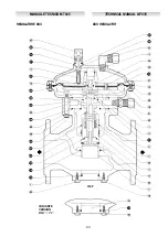 Preview for 43 page of PIETRO FIORENTINI Dixi P90 Technical Manual