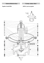 Preview for 45 page of PIETRO FIORENTINI MT044 Technical Manual