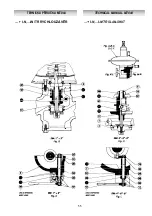 Preview for 48 page of PIETRO FIORENTINI MT044 Technical Manual