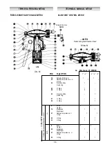 Preview for 49 page of PIETRO FIORENTINI MT044 Technical Manual