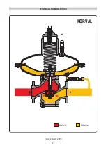 Preview for 2 page of PIETRO FIORENTINI NORVAL Installation, Commisioning And Maintenance Instructions