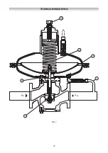 Preview for 10 page of PIETRO FIORENTINI NORVAL Installation, Commisioning And Maintenance Instructions