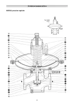 Preview for 51 page of PIETRO FIORENTINI NORVAL Installation, Commisioning And Maintenance Instructions