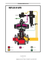 Preview for 2 page of PIETRO FIORENTINI REFLUX 819/FO Technical Manual