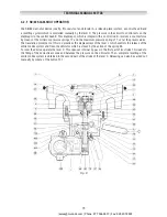 Preview for 19 page of PIETRO FIORENTINI REFLUX 819/FO Technical Manual