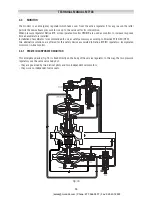 Preview for 26 page of PIETRO FIORENTINI REFLUX 819/FO Technical Manual