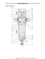 Preview for 45 page of PIETRO FIORENTINI REFLUX 819/FO Technical Manual