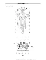 Preview for 53 page of PIETRO FIORENTINI REFLUX 819/FO Technical Manual