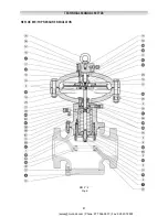 Preview for 67 page of PIETRO FIORENTINI REFLUX 819/FO Technical Manual