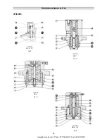 Preview for 68 page of PIETRO FIORENTINI REFLUX 819/FO Technical Manual