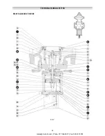 Preview for 81 page of PIETRO FIORENTINI REFLUX 819/FO Technical Manual