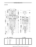 Preview for 89 page of PIETRO FIORENTINI REFLUX 819/FO Technical Manual