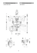 Preview for 69 page of PIETRO FIORENTINI REFLUX 819 Technical Manual