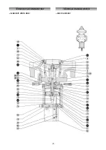 Preview for 75 page of PIETRO FIORENTINI REFLUX 819 Technical Manual