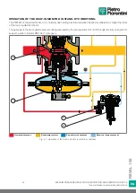 Preview for 43 page of PIETRO FIORENTINI REVAL 182 Use And Maintenance Instructions