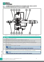 Preview for 102 page of PIETRO FIORENTINI REVAL 182 Use And Maintenance Instructions