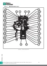 Preview for 294 page of PIETRO FIORENTINI REVAL 182 Use And Maintenance Instructions