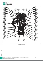 Preview for 296 page of PIETRO FIORENTINI REVAL 182 Use And Maintenance Instructions