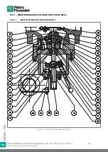 Preview for 300 page of PIETRO FIORENTINI REVAL 182 Use And Maintenance Instructions