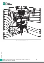 Preview for 308 page of PIETRO FIORENTINI REVAL 182 Use And Maintenance Instructions