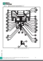 Preview for 312 page of PIETRO FIORENTINI REVAL 182 Use And Maintenance Instructions