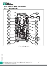 Preview for 352 page of PIETRO FIORENTINI REVAL 182 Use And Maintenance Instructions