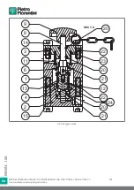 Preview for 354 page of PIETRO FIORENTINI REVAL 182 Use And Maintenance Instructions