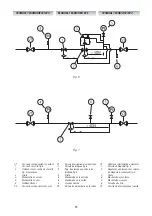 Предварительный просмотр 25 страницы PIETRO FIORENTINI SCN Technical Manual