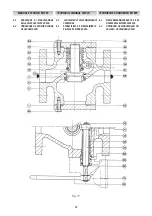 Предварительный просмотр 44 страницы PIETRO FIORENTINI SCN Technical Manual